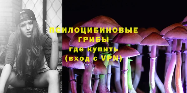 бошки Володарск
