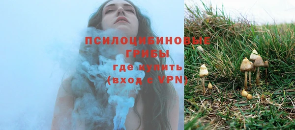 бошки Володарск