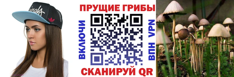 Галлюциногенные грибы мухоморы  Лиски 